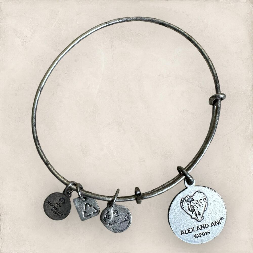 Alex and Ani Create Peace of Mind - Charm Bracelet - +/ Energy - Picture 2 of 3